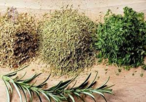 تصویر 4 از قیمت خرید گیاه رزماری خشک شده + فروش ویژه
